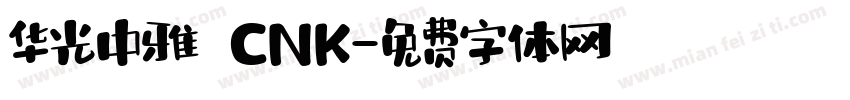 华光中雅 CNK字体转换